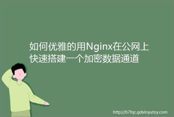 如何优雅的用Nginx在公网上快速搭建一个加密数据通道